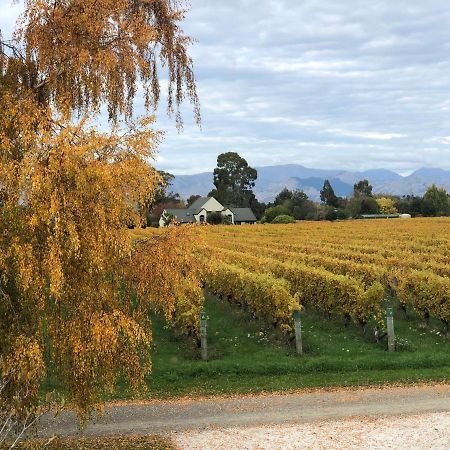 Vineyard Cottage In Blenheim On The Golden Mile المظهر الخارجي الصورة