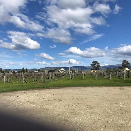 Vineyard Cottage In Blenheim On The Golden Mile المظهر الخارجي الصورة