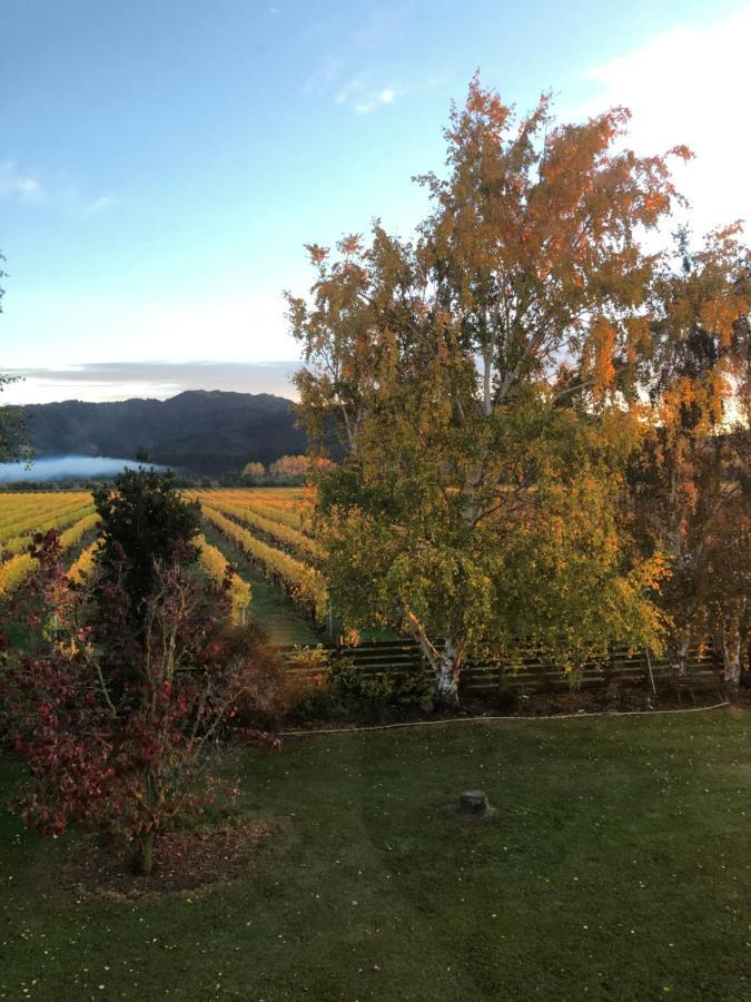 Vineyard Cottage In Blenheim On The Golden Mile المظهر الخارجي الصورة