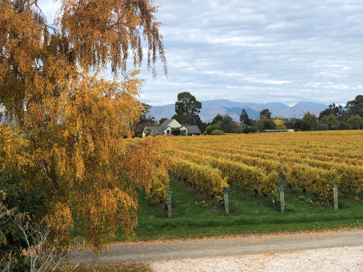 Vineyard Cottage In Blenheim On The Golden Mile المظهر الخارجي الصورة